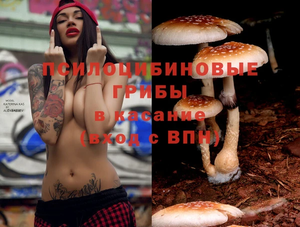 MESCALINE Беломорск