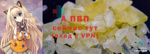 молекула духа Белокуриха