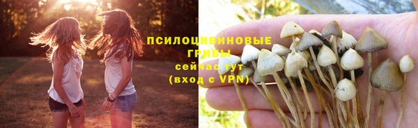 молекула духа Белокуриха