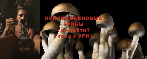 первитин Белоозёрский