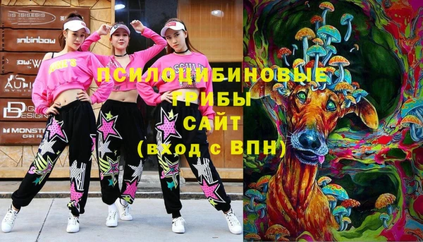 гидропоника Балахна