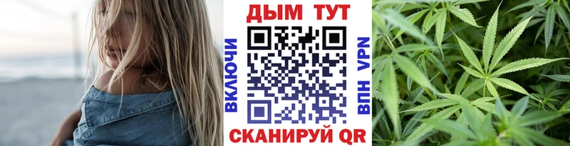 где можно купить   Сертолово  Шишки марихуана SATIVA & INDICA 